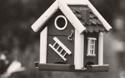 Emprunt hypothécaire et hausse des taux : faut-il amortir ou renouveler son hypothèque ?