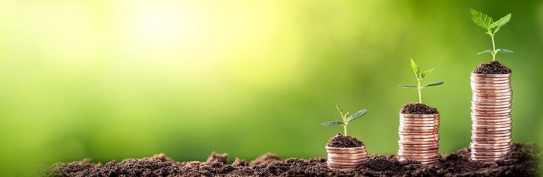 Comment faire des économies sur sa déclaration d’impôt ? – Tous nos conseils