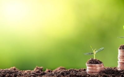 Comment faire des économies sur sa déclaration d’impôt ? – Tous nos conseils